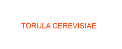 TORULA CEREVISIAE Homeopathic Medicine uses Symptoms and MATERIA MEDICA
