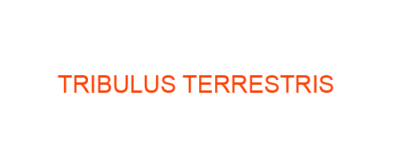 TRIBULUS TERRESTRIS Homeopathic Medicine use Symptoms and MATERIA MEDICA