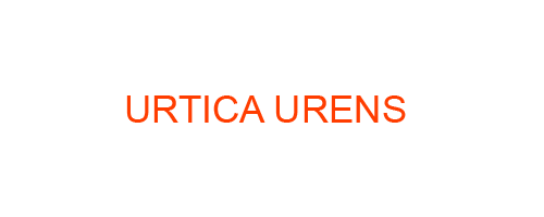 URTICA URENS: Homeopathic Medicine Uses, Symptoms, Treatment | Materia Medica Guide