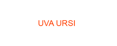 UVA URSI Homeopathic Medicine uses Symptoms and MATERIA MEDICA