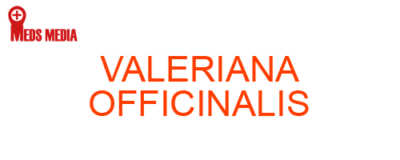 VALERIANA OFFICINALIS Homeopathic Medicine Uses, Symptoms, Treatment Materia Medica Guide