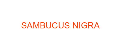 SAMBUCUS NIGRA: Homeopathic Medicine Uses, Symptoms, Treatment | Materia Medica Guide