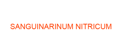 SANGUINARINUM NITRICUM best homeopathic medicine uses Symptoms treatment and materia medica