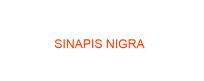 SINAPIS NIGRA best homeopathic medicine uses Symptoms treatment and materia medica