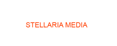 STELLARIA best homeopathic medicine uses Symptoms treatment and materia medica