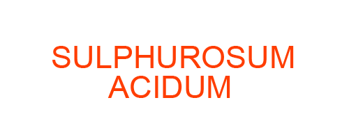 SULPHUROSUM ACIDUM: Homeopathic Medicine Uses, Symptoms, Treatment | Materia Medica Guide