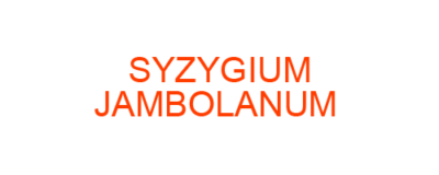 SYZYGIUM JAMBOLANUM best homeopathic medicine uses Symptoms treatment and materia medica