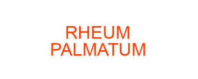 Rheum palmatum best homeopathic medicine uses Symptoms treatment and materia medica