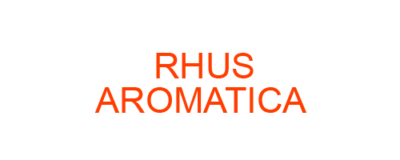 RHUS AROMATICA best homeopathic medicine uses Symptoms treatment and materia medica