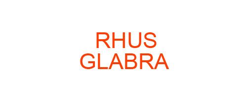 RHUS GLABRA: Homeopathic Medicine Uses, Symptoms, Treatment | Materia Medica Guide