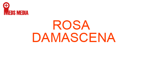 ROSA DAMASCENA: Homeopathic Medicine Uses, Symptoms, Treatment | Materia Medica Guide